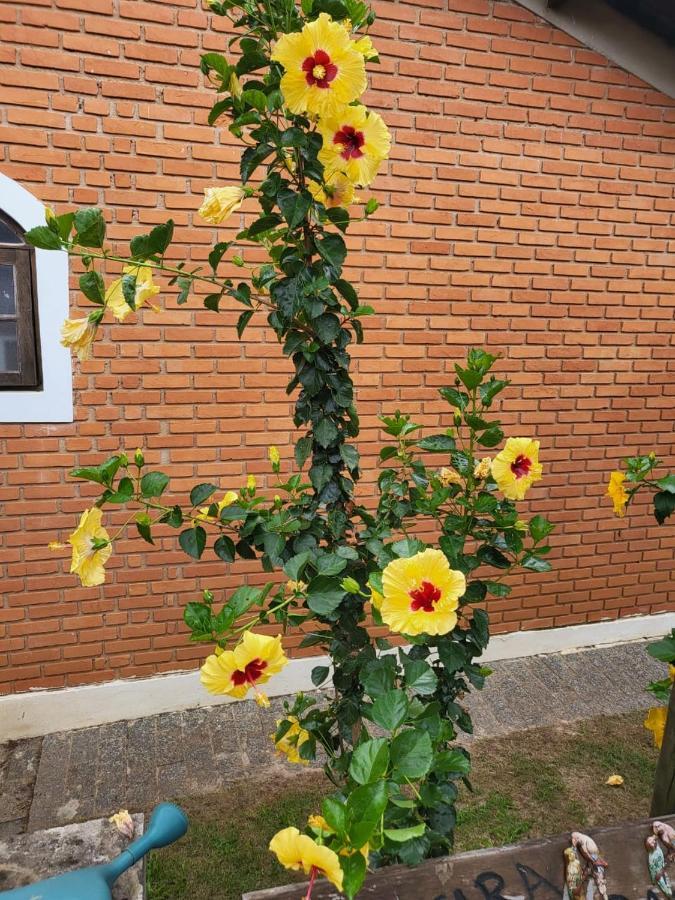 Pousada Terra Prometida Sao Pedro  Exterior photo